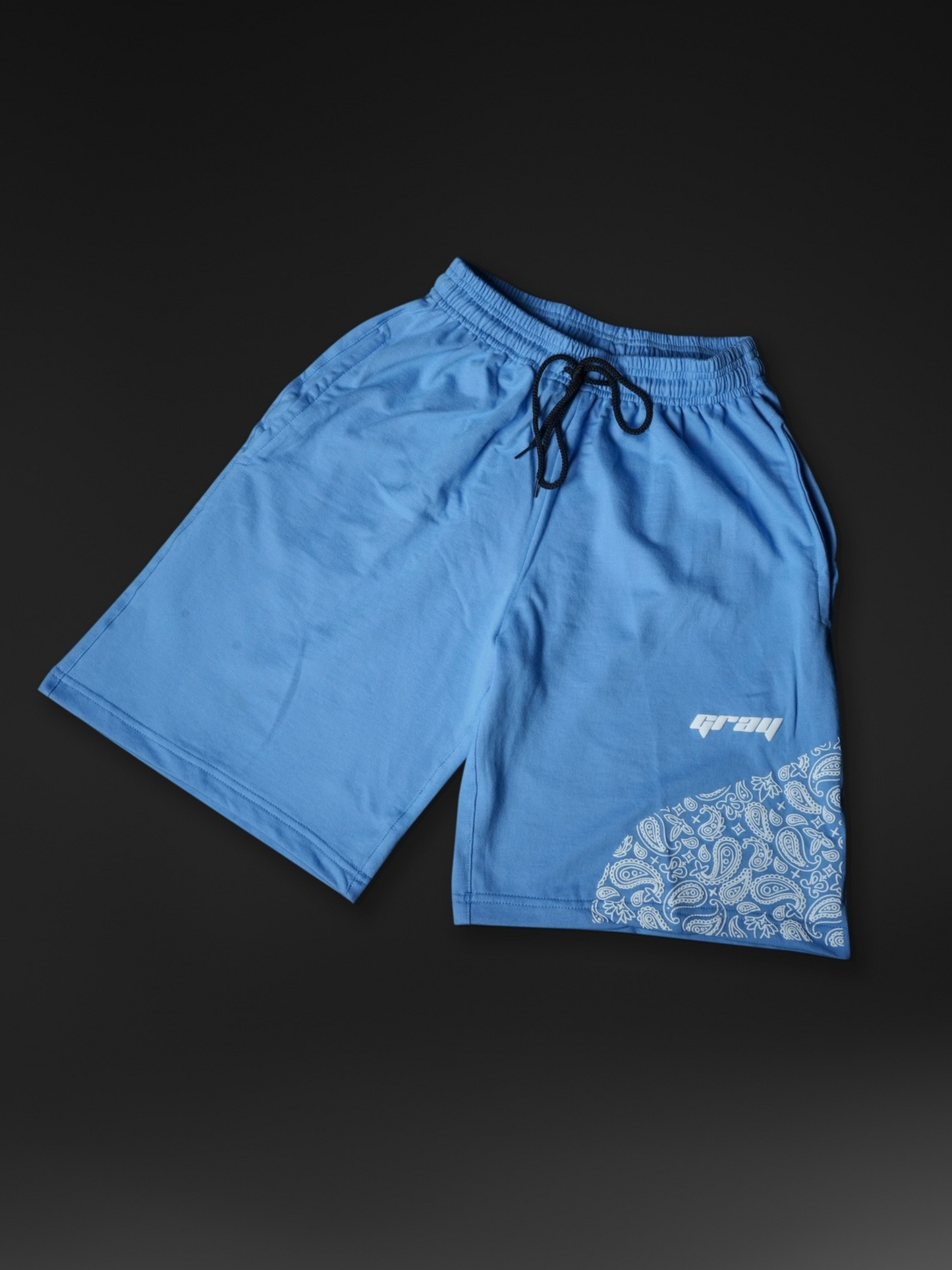 Paisley Shorts in Blue
