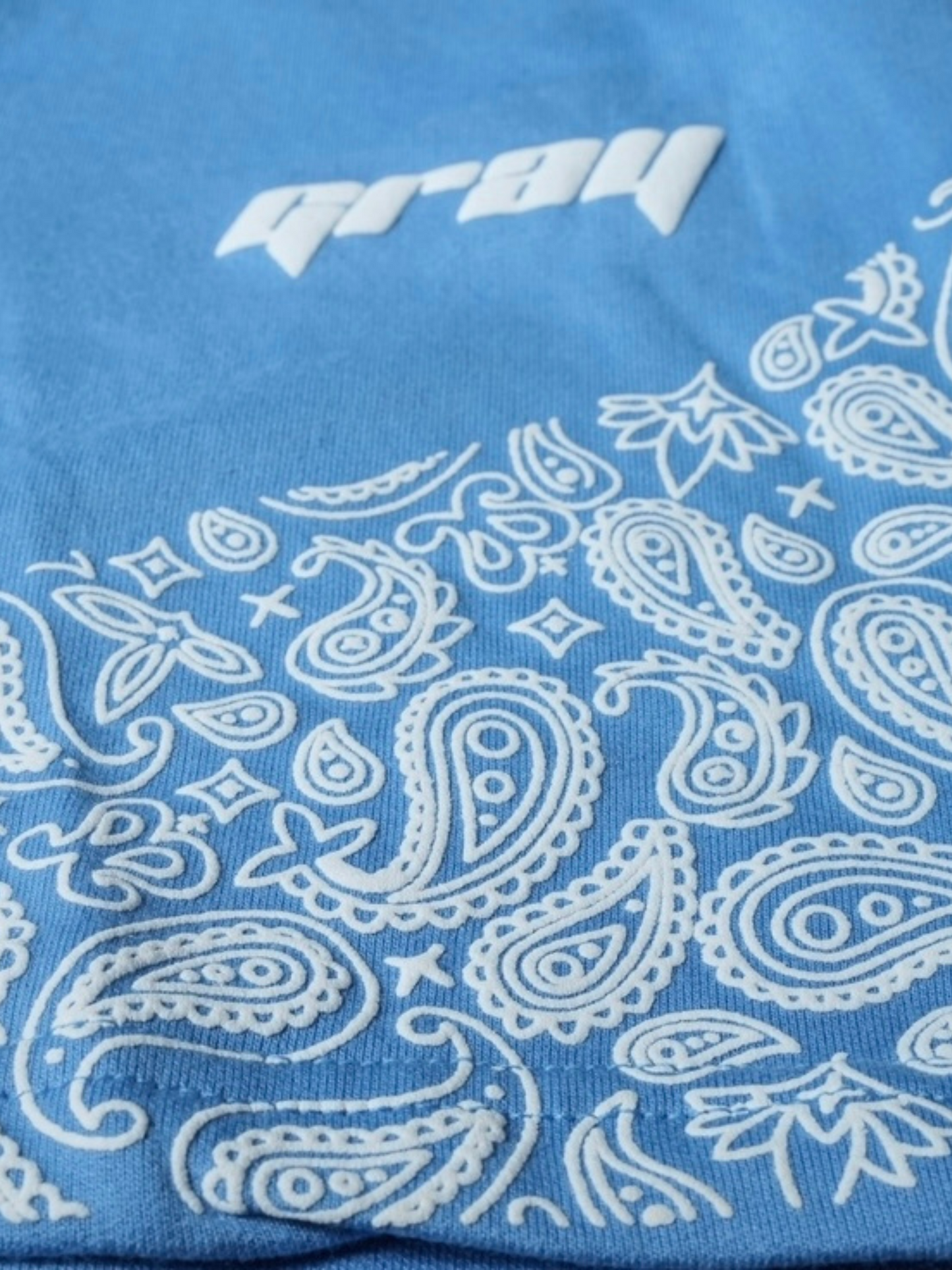 Paisley Shorts in Blue